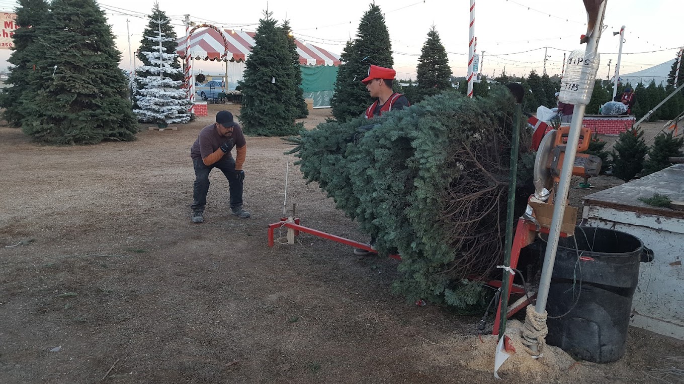 snowy pines employee installing a stand